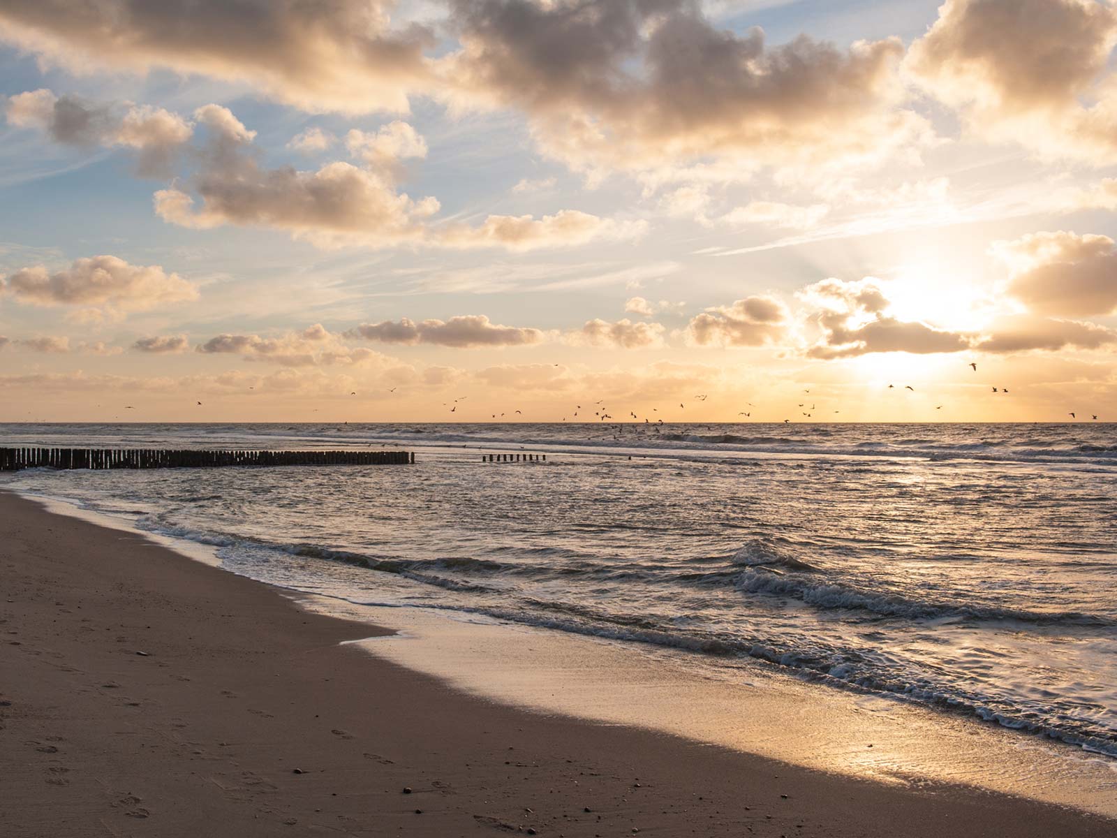 Sylt-Impressionen20